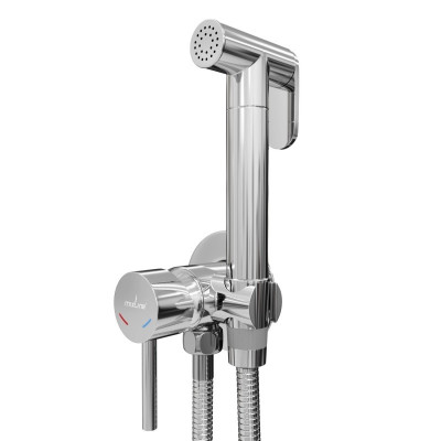 Смеситель с гигиеническим лейкой Mixline Ray ML31-081